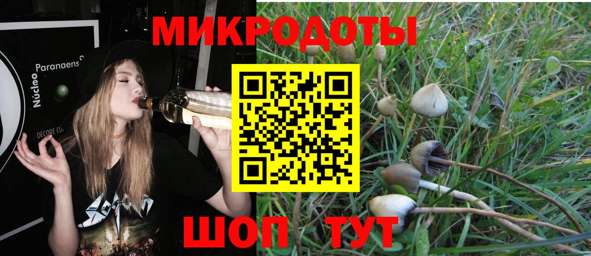 Галлюциногенные грибы мухоморы Карпинск