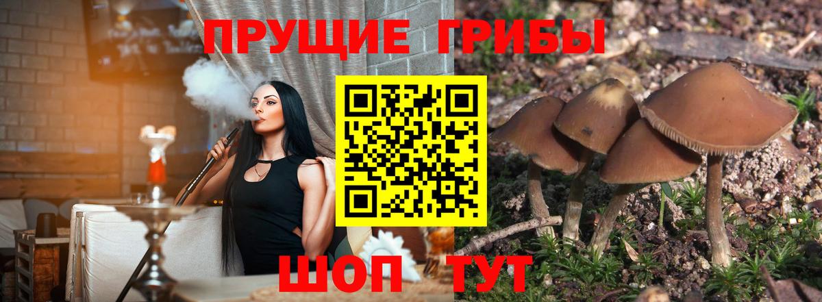 Псилоцибиновые грибы мухоморы  где найти наркотики  Псилоцибиновые грибы ЛСД  Карпинск  Вход с VPN 